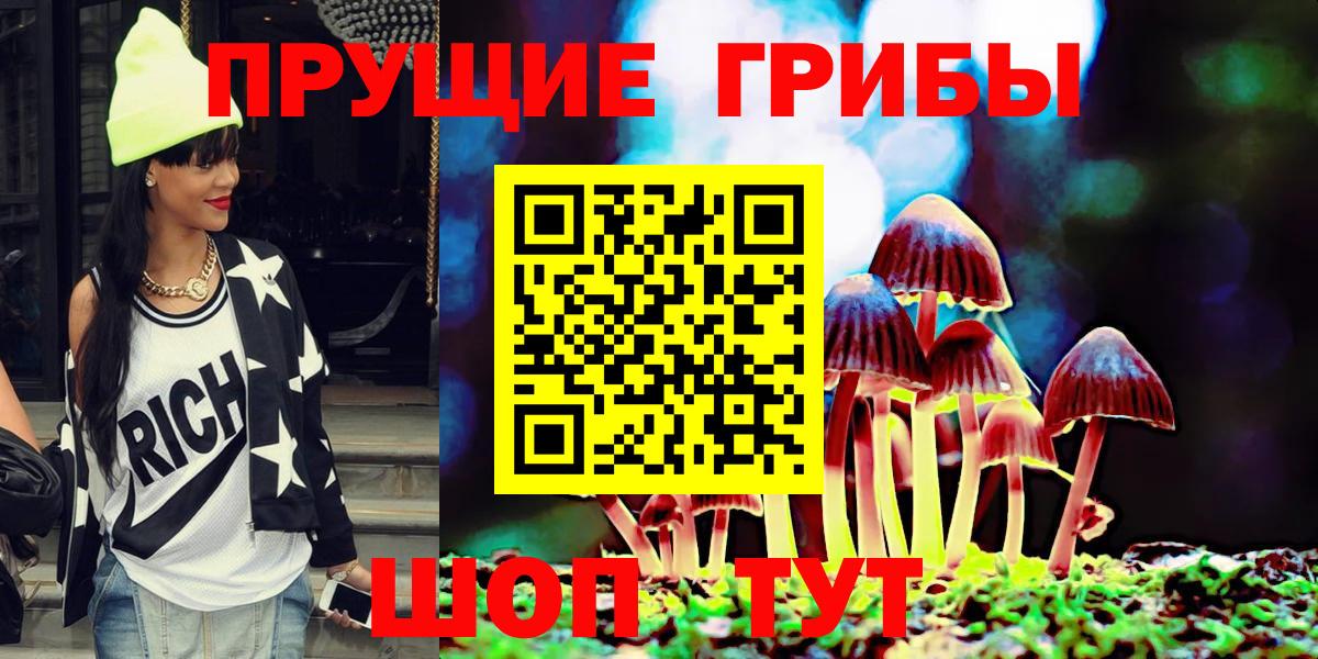 Псилоцибиновые грибы GOLDEN TEACHER Кириши