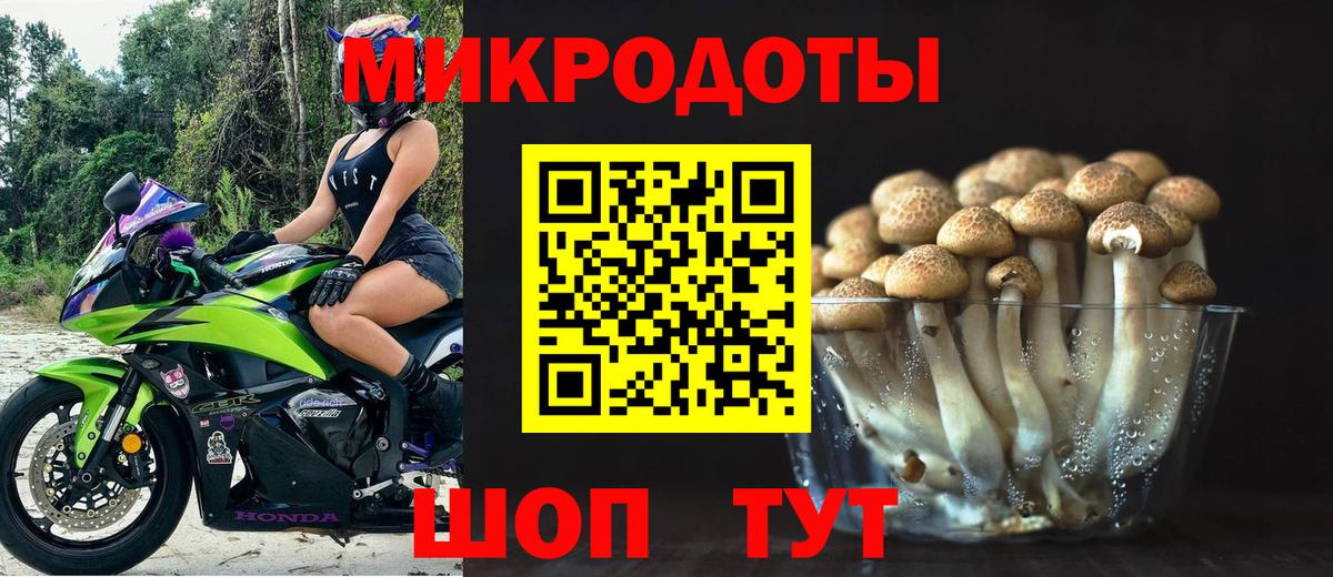 Кириши  Галлюциногенные грибы GOLDEN TEACHER  Вход с VPN  Псилоцибиновые грибы Magic Shrooms 